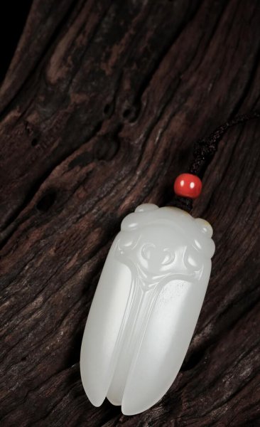 玉蝉为什么不能戴在身上