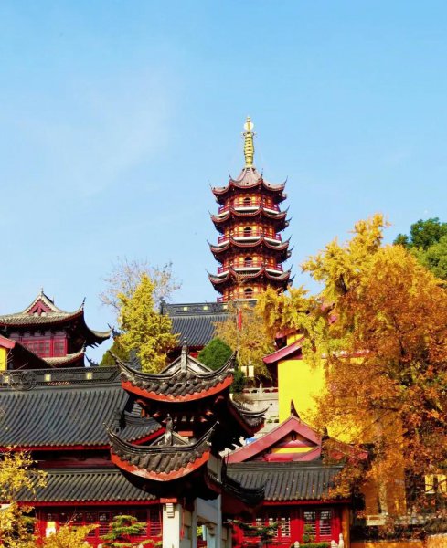 南京银杏树哪里最好看最出名