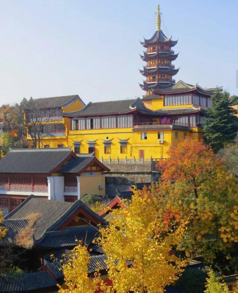 南京银杏树哪里最好看最出名