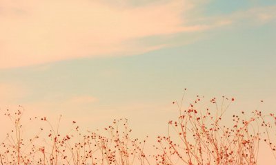 什么星座最有钱 公认的隐形富豪却保持低调的星座