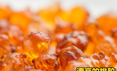 桃胶是桃树上流出来的胶吗 可以直接从树上摘下来吃吗