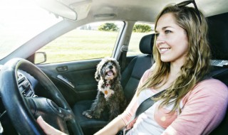 怎么挑选汽车技巧 如何挑选汽车