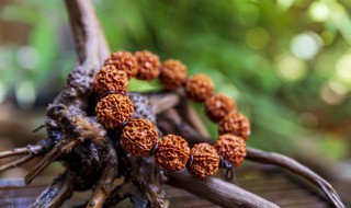 怎么鉴别菩提真假 如何辨别菩提真假