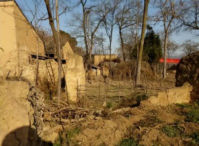 重男轻女的家庭对女孩的伤害有多大 常见的4点影响