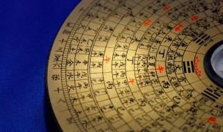 属猴的几月出生好命 属猴的哪个月出生最好