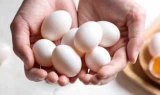 孕妇吃鸽子蛋禁忌 孕妇食用鸽子蛋有哪些禁忌