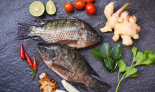 吃鲫鱼的好处和坏处 吃鲫鱼对人有哪些好处和坏处呢