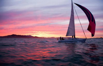 墙头草代表什么样的人 墙头草的意思是指哪一类人