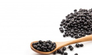 黑豆是热性还是凉性 黑豆的性质介绍