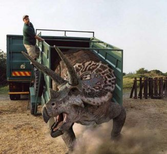 著名恐龙之三角龙介绍 关于三角龙的那些基本冷知识