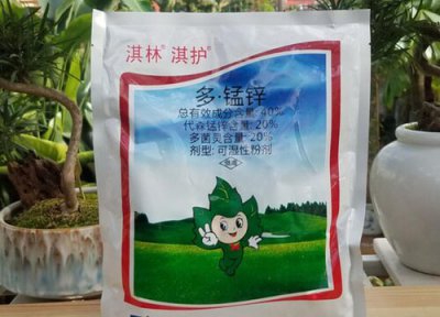 茶花多久喷代森锰锌 代森锰锌多菌灵养护茶花越长越多