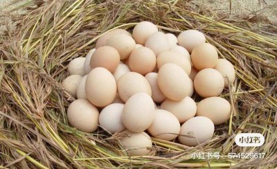 鸡蛋冰箱冷藏能放多久 常温下鸡蛋可以放多久不变质