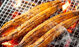 新鲜鳗鱼怎么处理 新鲜鳗鱼如何处理