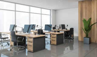 办公室放什么花比较好 办公室放哪些花比较好