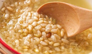 糙米粥煮多久 糙米粥需要煮几分钟才能食用