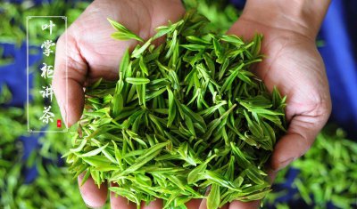 庐山云雾茶属于什么茶 庐山云雾茶是哪个地方的茶