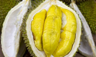 榴莲瓤冷藏怎么保存不发霉 榴莲瓤如何保存