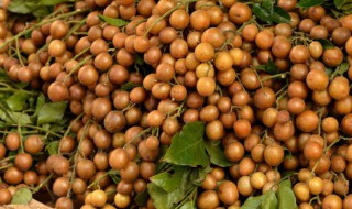 开水果店水果怎么保鲜 开水果店如何给水果保鲜