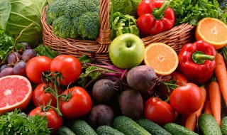 人工育苗西红柿种植方法 西红柿育苗方法