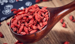 新鲜野生枸杞怎么保存 新鲜野生枸杞的保存方法介绍