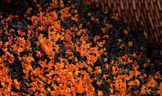 浦城特产有什么 浦城有哪些特产