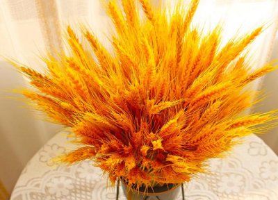 家里为什么不能放麦穗 客厅摆放干麦穗含义与位置讲究