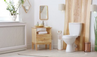 卫生间摆放的小物件叫什么 卫生间摆放的小物件分别有什么