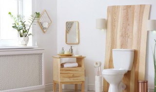 卫生间挂什么物件辟邪 卫生间放什么摆件风水好