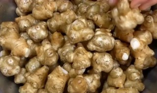 洋姜适合什么季节播种 洋姜适合哪个季节播种