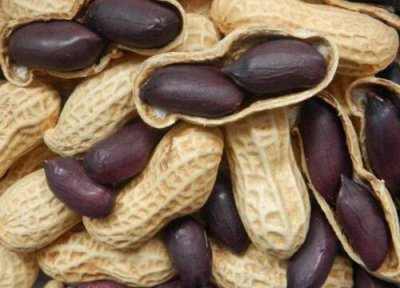 黑花生生吃一天吃多少最好 黑花生什么时间吃有营养价值