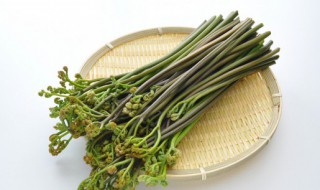 蕨菜怎么保存的时间长一点 蕨菜怎么保存得更久
