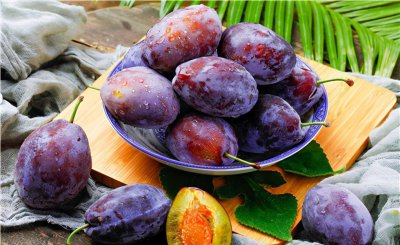 农村种植什么赚钱不愁销路 农业种植什么比较赚钱