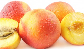 上海奉贤黄桃的采摘时间 上海奉贤黄桃什么时候采摘