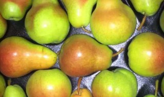 啤梨放软了才能吃吗 啤梨放软了到底能不能吃