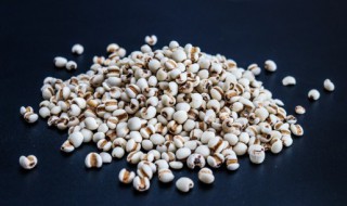 薏仁米是凉性还是热性 薏仁米属于凉性还是热性的呢