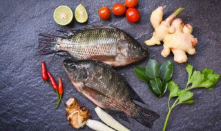 莲子和鱼可以同时吃吗 莲子和鱼适不适合同吃