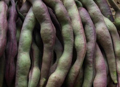 豆角变黄了还能吃吗 豆角有一部分变黄能不能吃