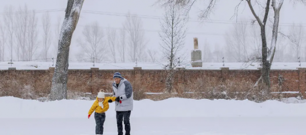 2023好看的电视剧盘点