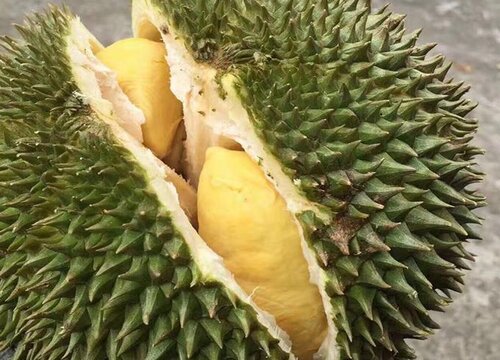 榴莲的储存方法