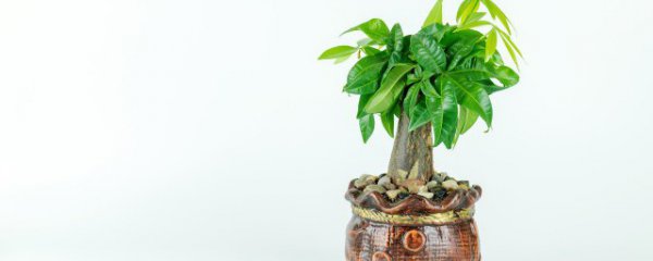 门口放三样东西最旺财方位