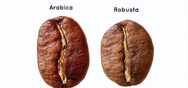 安哥拉是哪个国家经济怎么样