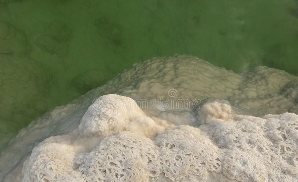 死海是什么地理位置