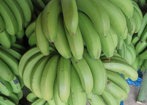 刚摘下的香蕉怎么催熟最快