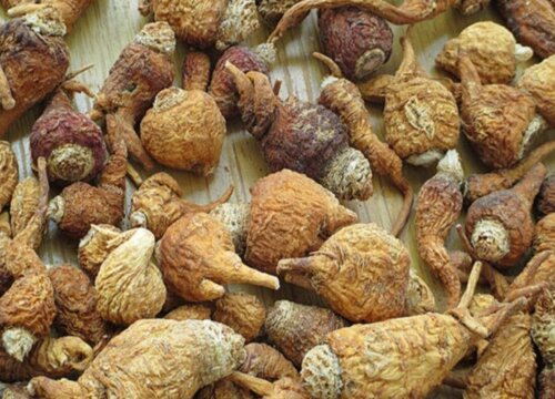 玛卡有什么药用价值