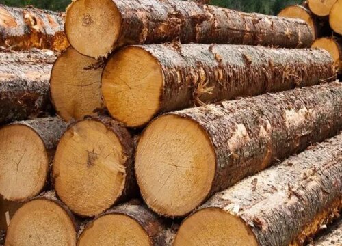 红玫瑰木是什么木材