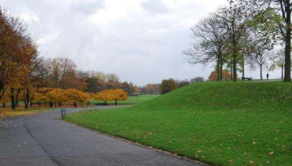 剪股颖草坪优缺点
