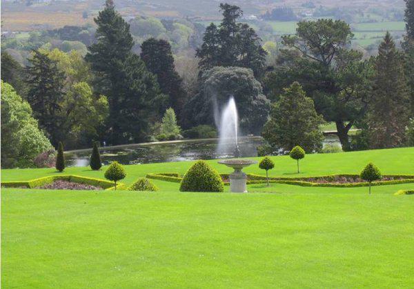 剪股颖草坪优缺点