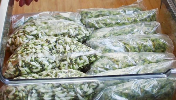 槐树花怎么保存时间长