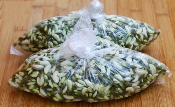 槐树花怎么保存时间长