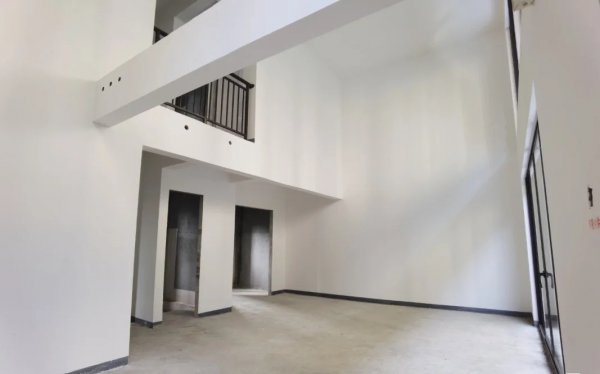 叠墅好还是大平层好